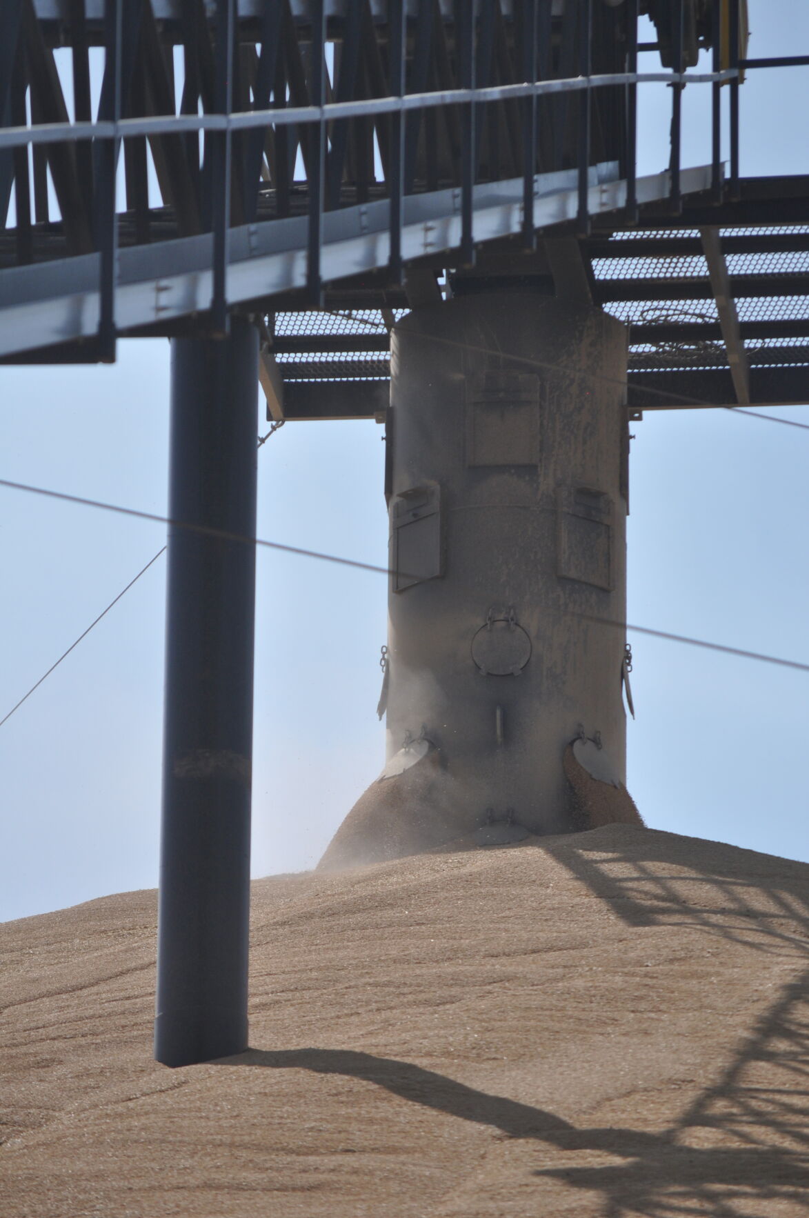 Grain in Fenn photo 2